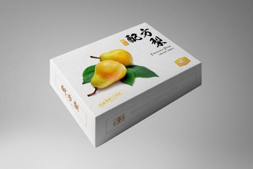 特色產品包裝設計到印刷制作的一體化整合 以無脊椎動物主題為例